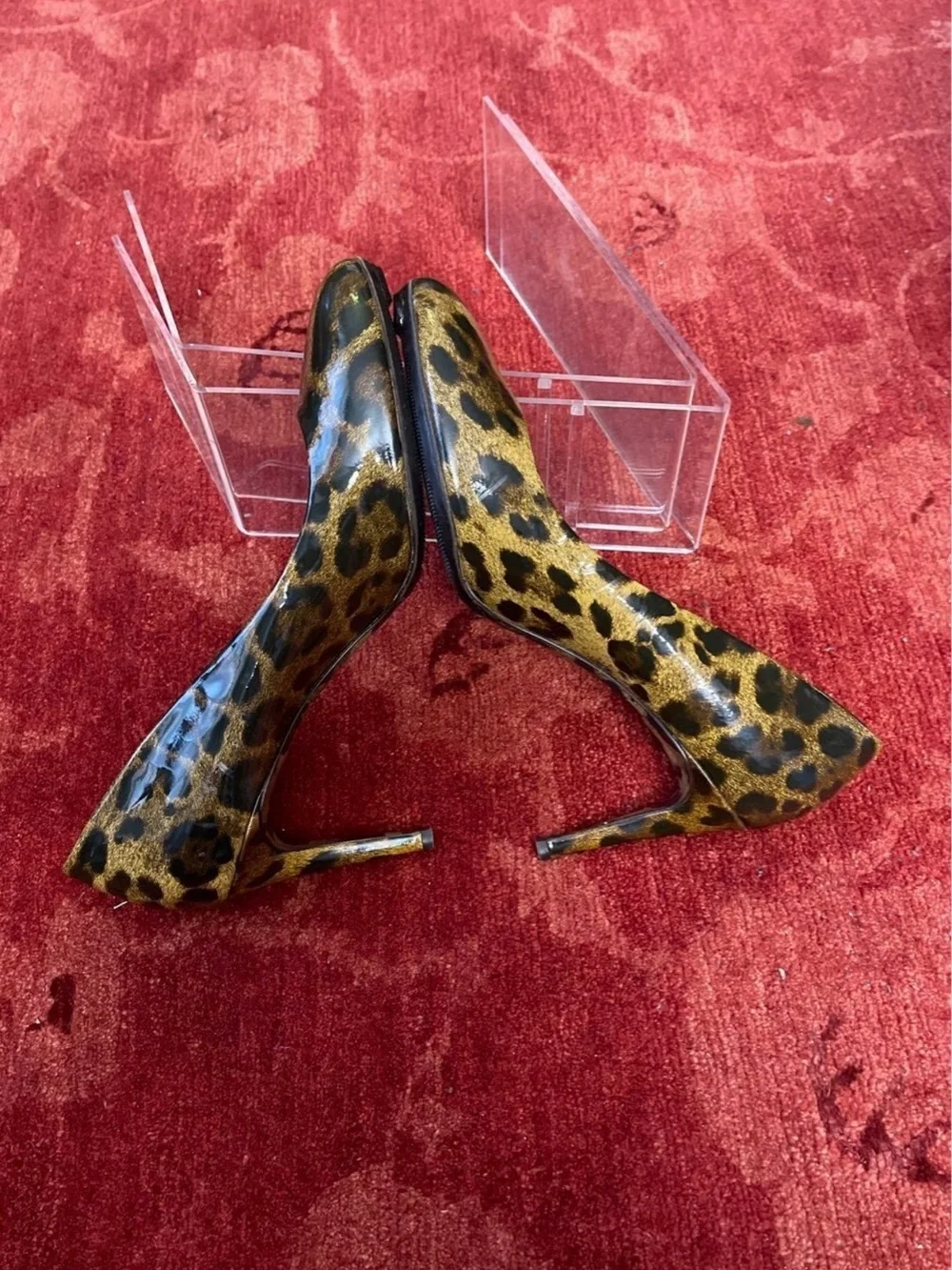 Dolce & Gabbana stylish leopard